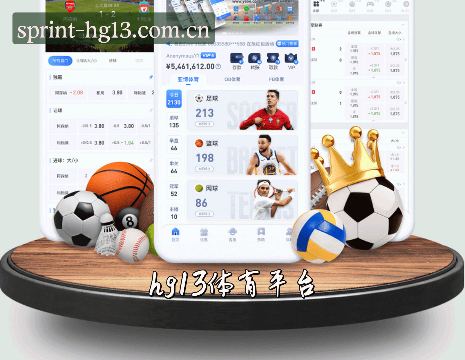关于hg13体育「CN」官方网站 · 官方平台